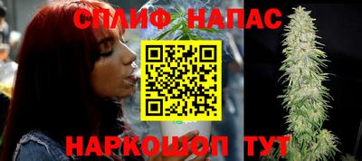 Альфа ПВП Ярославль