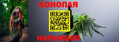 Альфа ПВП Ярославль