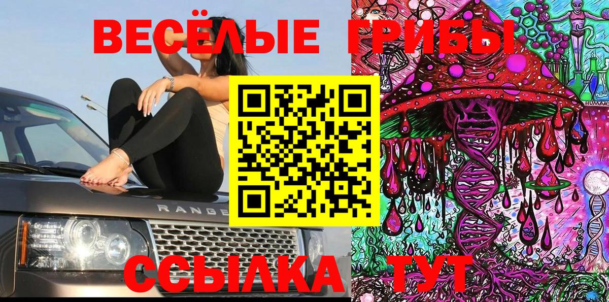 Гай  Псилоцибиновые грибы мицелий  Вход с VPN  Галлюциногенные грибы мицелий 